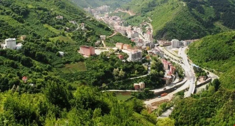 Standart Oda - Orman Manzaralı