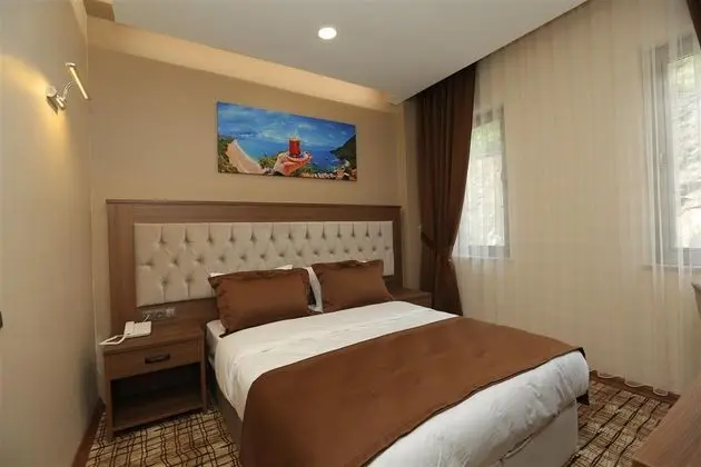Standart Oda - Orman Manzaralı