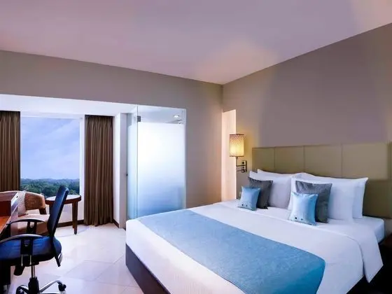 Deluxe Tek Büyük Yataklı Oda, 1 Çift Kişilik Yatak