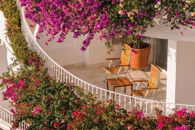 Junior Suite Ocean View