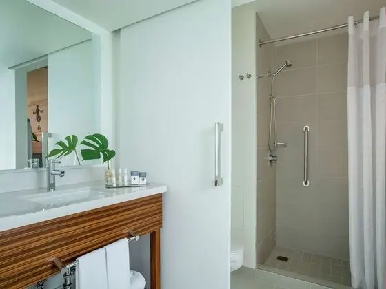 Oda, 1 En Büyük (King) Boy Yatak, Engellilere Uygun (Mobility & Hearing, 3x3 Shower)