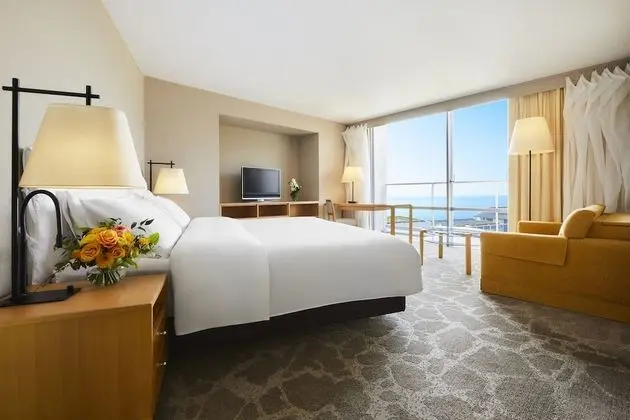 Superior Tek Büyük Yataklı Oda, Sigara İçilmez