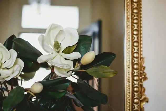 Luxury Apart Daire, 2 Yatak Odası, Bağlantılı Odalar, Zemin Kat