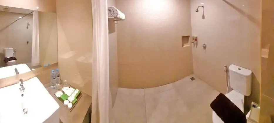 Premier Tek Büyük veya İki Ayrı Yataklı Oda, Balkon
