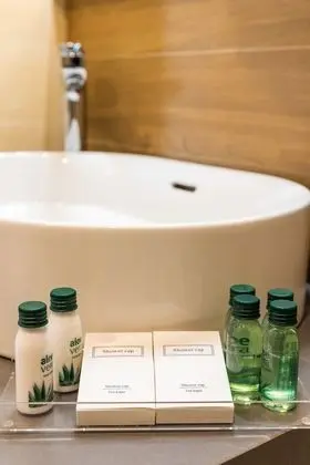 Standard Tek Büyük veya İki Ayrı Yataklı Oda, Balkon, Park Manzaralı