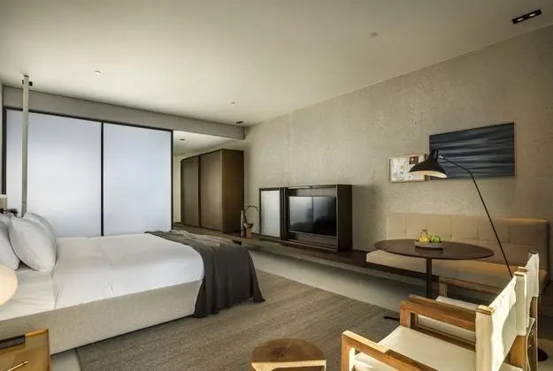 Premium Tek Büyük Yataklı Oda, Park Manzaralı