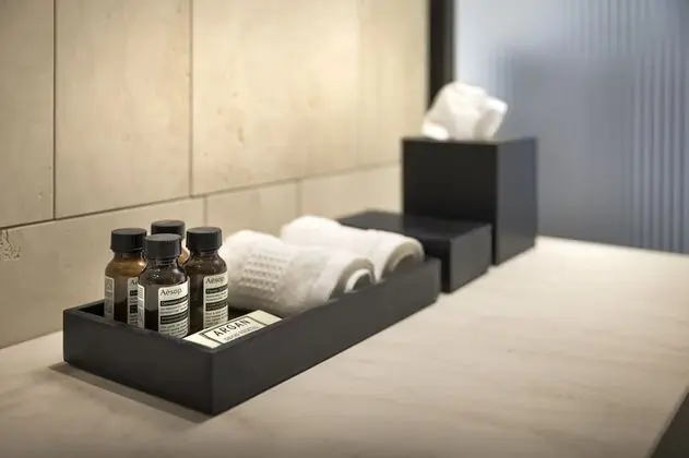 Premium Tek Büyük Yataklı Oda, Park Manzaralı