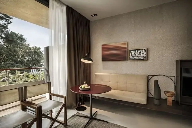 Premium Tek Büyük Yataklı Oda, Park Manzaralı