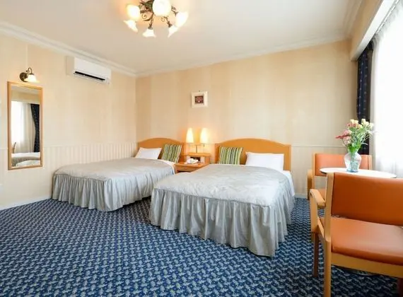 Deluxe İki Ayrı Yataklı Oda, Sigara İçilebilir