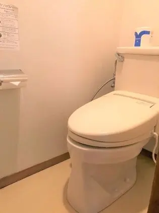 Deluxe İki Ayrı Yataklı Oda, Sigara İçilebilir