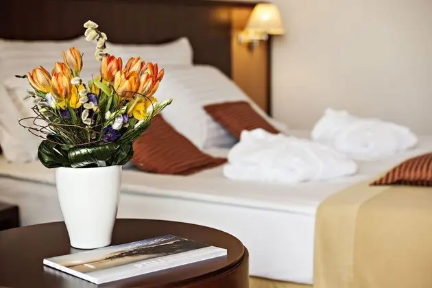 Standard Tek Büyük veya İki Ayrı Yataklı Oda, Balkon