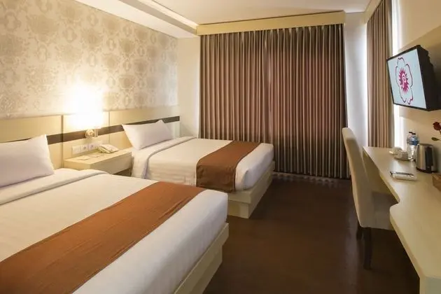 Deluxe Oda, Birden Çok Yatak, Sigara İçilmez