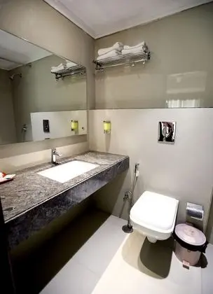 Superior Tek Büyük Yataklı Oda, Buzdolabı, Şehir Manzaralı