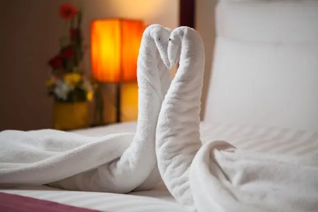 Deluxe Tek Büyük veya İki Ayrı Yataklı Oda, 1 Tek Kişilik Yatak