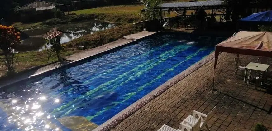 Comfort Tek Büyük Yataklı Oda, 1 Büyük (Queen) Boy Yatak, Özel Banyo, Havuz Manzaralı