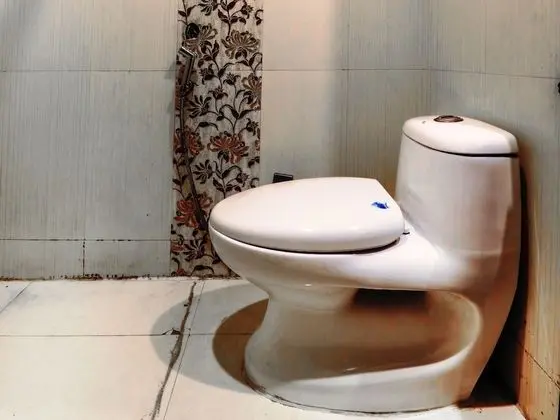 Royal Süit, 1 En Büyük (King) Boy Yatak, Engellilere Uygun, Şehir Manzaralı