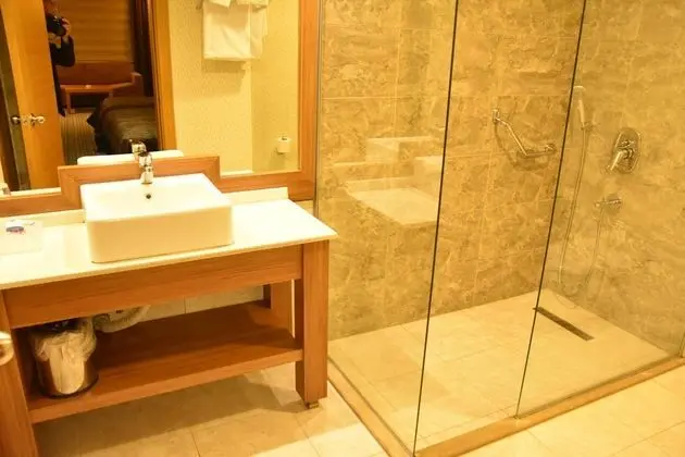 Deluxe Oda,Şehir Manzaralı