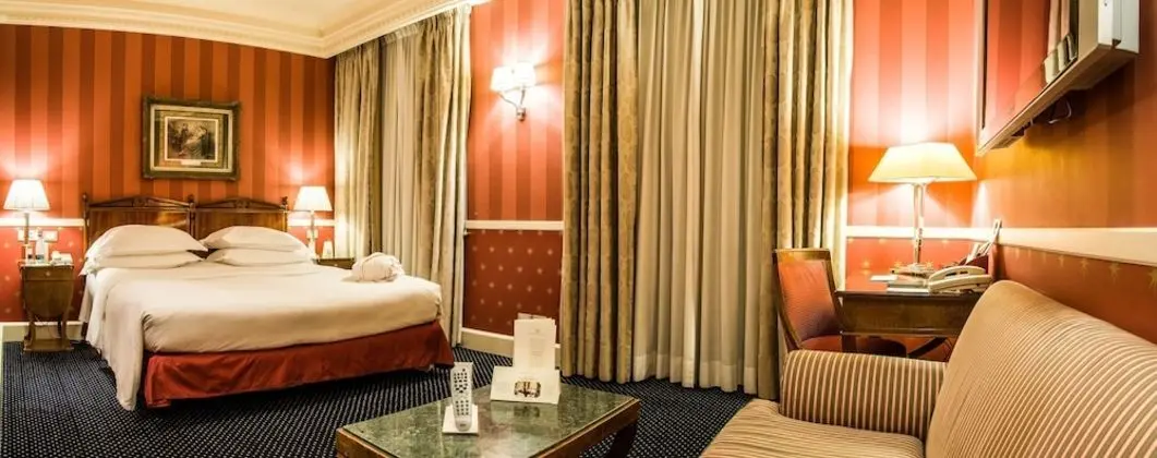 Deluxe Büyük Yataklı Tek Kişilik Oda