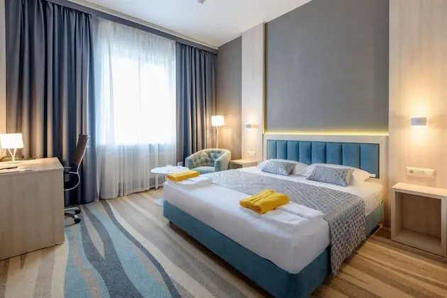 Tek Büyük Yataklı Oda (Comfort Plus)
