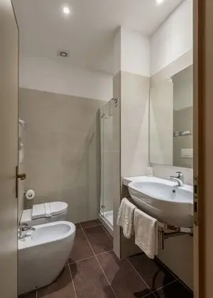Deluxe Tek Büyük veya İki Ayrı Yataklı Oda