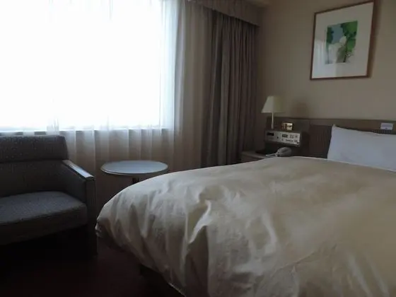 Economy Tek Büyük Yataklı Oda, Sigara İçilmez