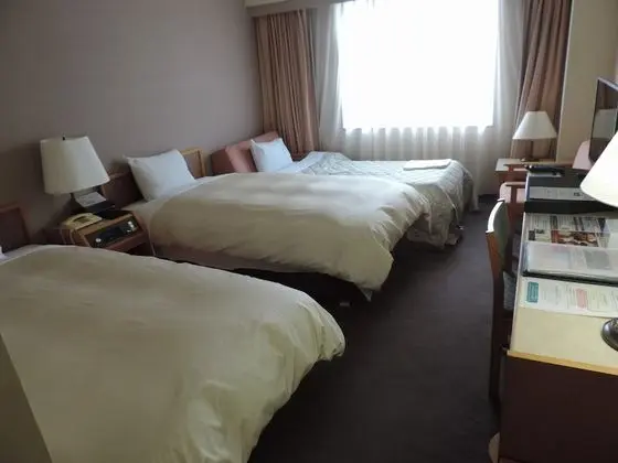 Üç Kişilik Oda, Sigara İçilebilir (2 Single Beds and 1 Extra Bed)