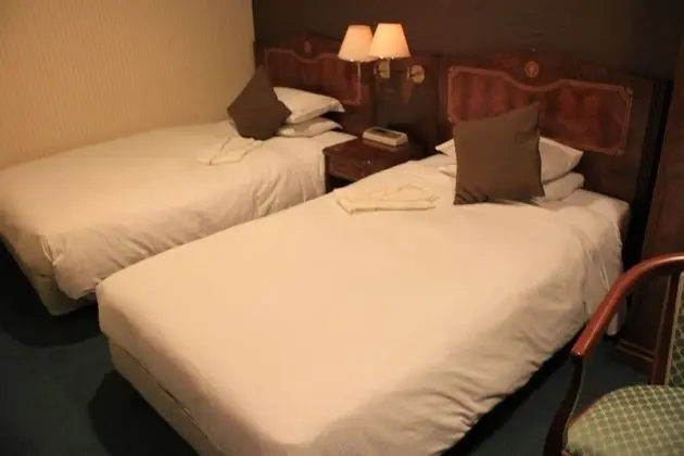 Deluxe İki Ayrı Yataklı Oda, Sigara İçilmez