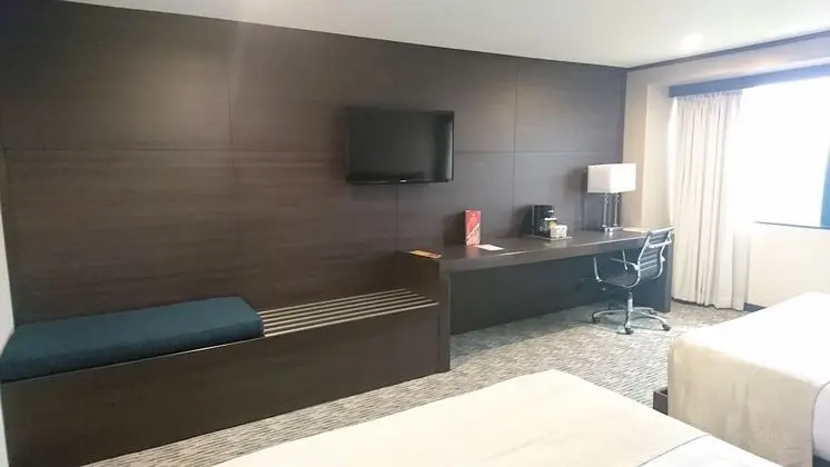 Executive Tek Büyük Yataklı Oda (Grand Club)