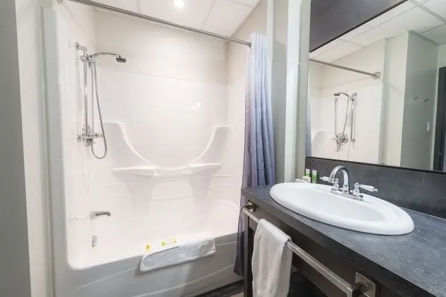 Executive Çatı Katı (Loft), 1 En Büyük (King) Boy Yatak