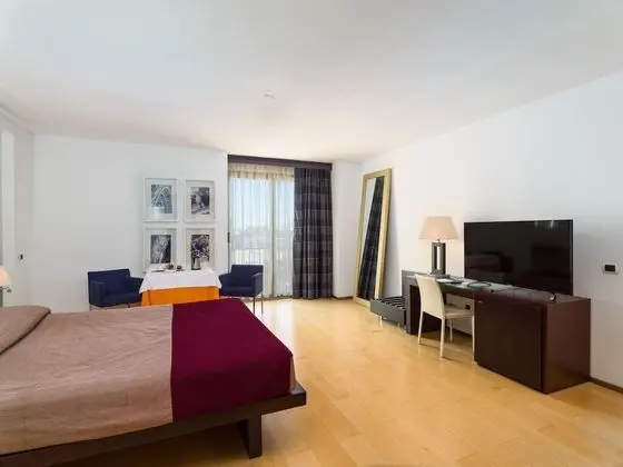 Executive Tek Büyük Yataklı Oda