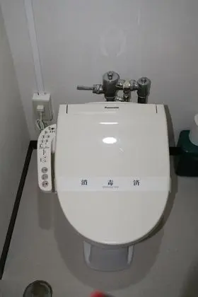 Traditional Oda, Ortak Banyo (with private toilet) (Room Only)
