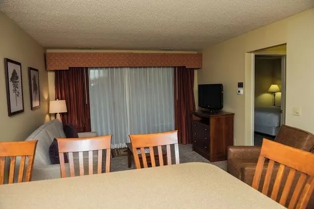 Oda, 1 Büyük (Queen) Boy Yatak ve Çekyat, Kısmi Manzaralı (Shores One Bedroom Condo)