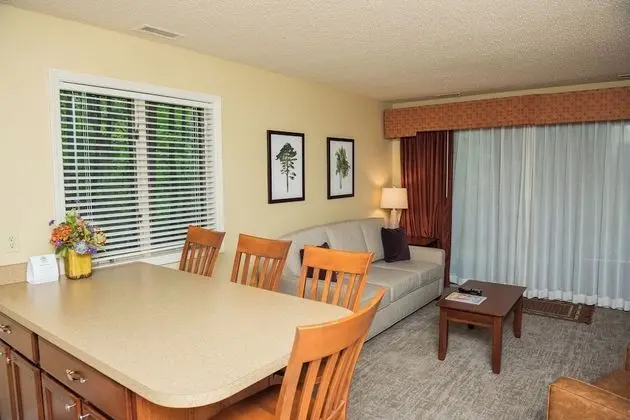 Oda, 1 Büyük (Queen) Boy Yatak ve Çekyat, Kısmi Manzaralı (Shores One Bedroom Condo)