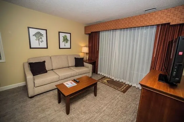 Oda, 1 Büyük (Queen) Boy Yatak ve Çekyat, Kısmi Manzaralı (Shores One Bedroom Condo)