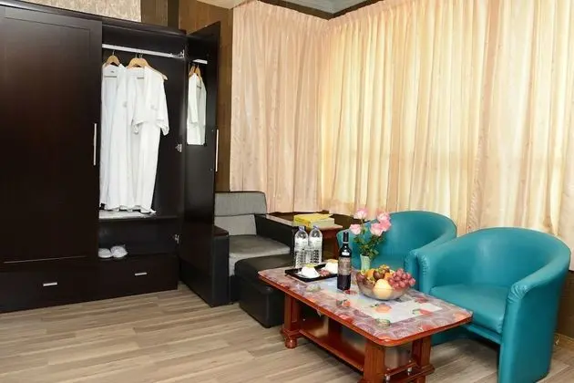Deluxe Tek Büyük veya İki Ayrı Yataklı Oda, Şehir Manzaralı