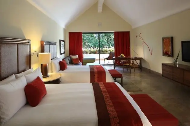 Nature View Suite - Zen Experience