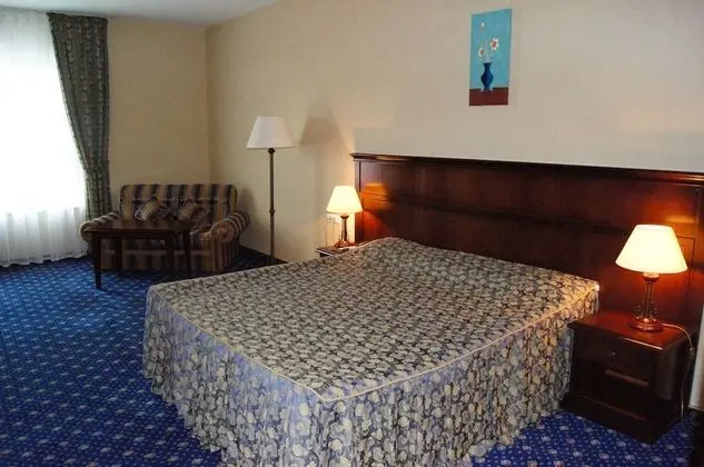 Standard Tek Büyük Yataklı Oda, Şehir Manzaralı