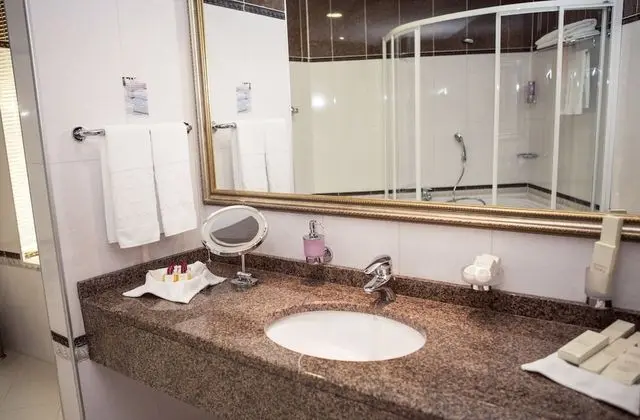 Standard Tek Büyük Yataklı Oda, Şehir Manzaralı