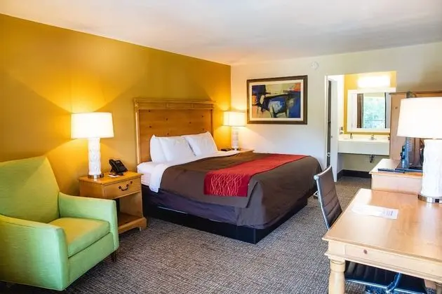 Classic Oda, 1 En Büyük (King) Boy Yatak