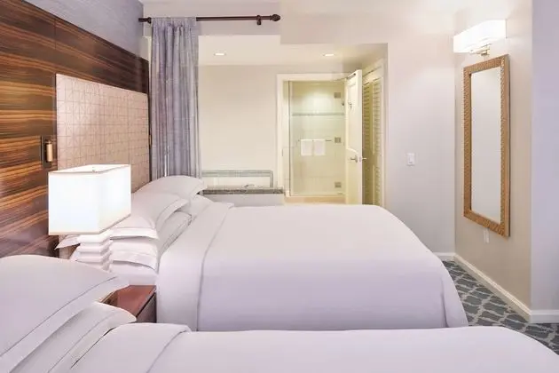 Süit, 1 Yatak Odası, Engellilere Uygun, Kısmi Deniz Manzarası (Hearing, Roll-in Shower, City View)