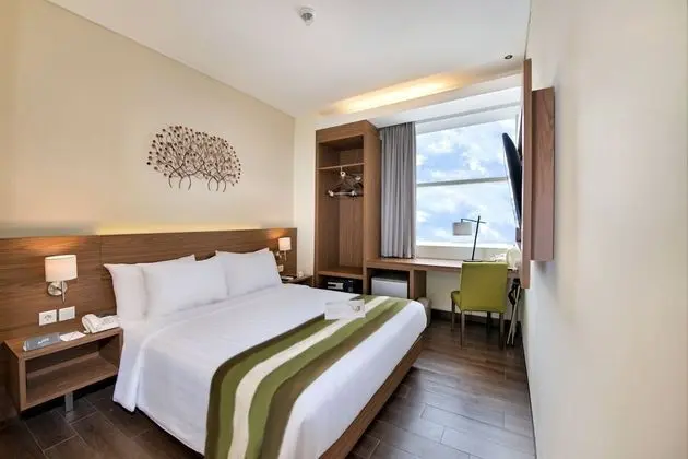 Deluxe Tek Büyük Yataklı Oda