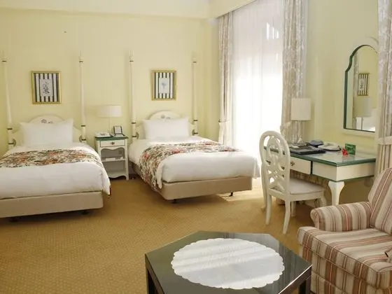 Deluxe İki Ayrı Yataklı Oda, Sigara İçilebilir