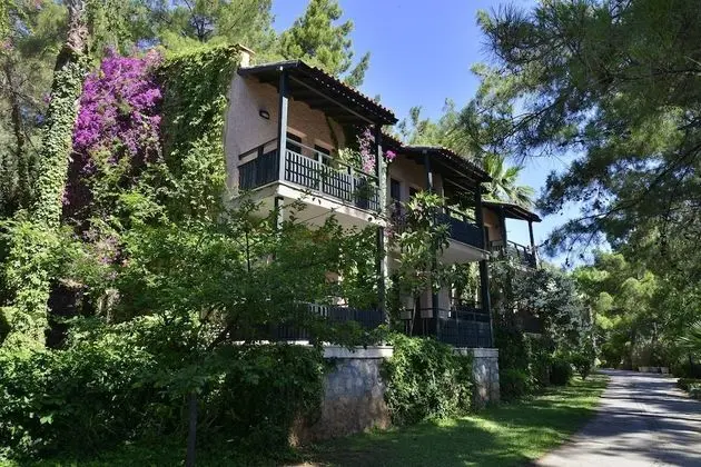 Standard Villa, Bahçe Manzaralı