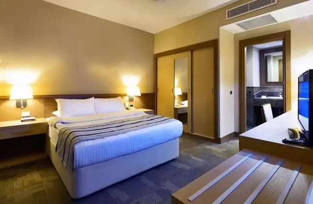 Standard Room (Winter Section)