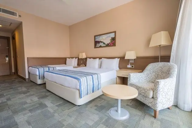 Standard Room (Winter Section)