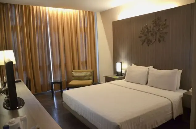 Deluxe Tek Büyük Yataklı Oda, 1 Büyük (Queen) Boy Yatak