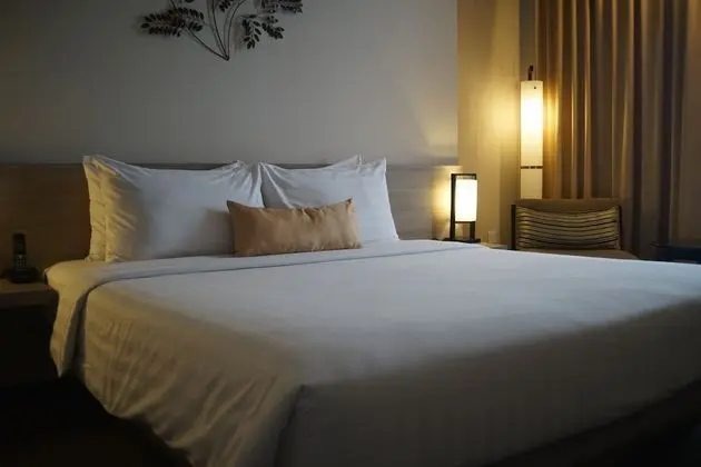 Superior Tek Büyük Yataklı Oda, 1 Yatak Odası