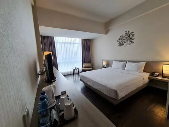 Superior Tek Büyük Yataklı Oda, 1 Yatak Odası