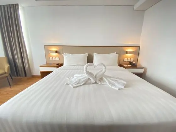 Deluxe Tek Büyük Yataklı Oda