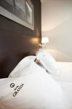 Tek Büyük veya İki Ayrı Yataklı Oda, Bahçe Manzaralı